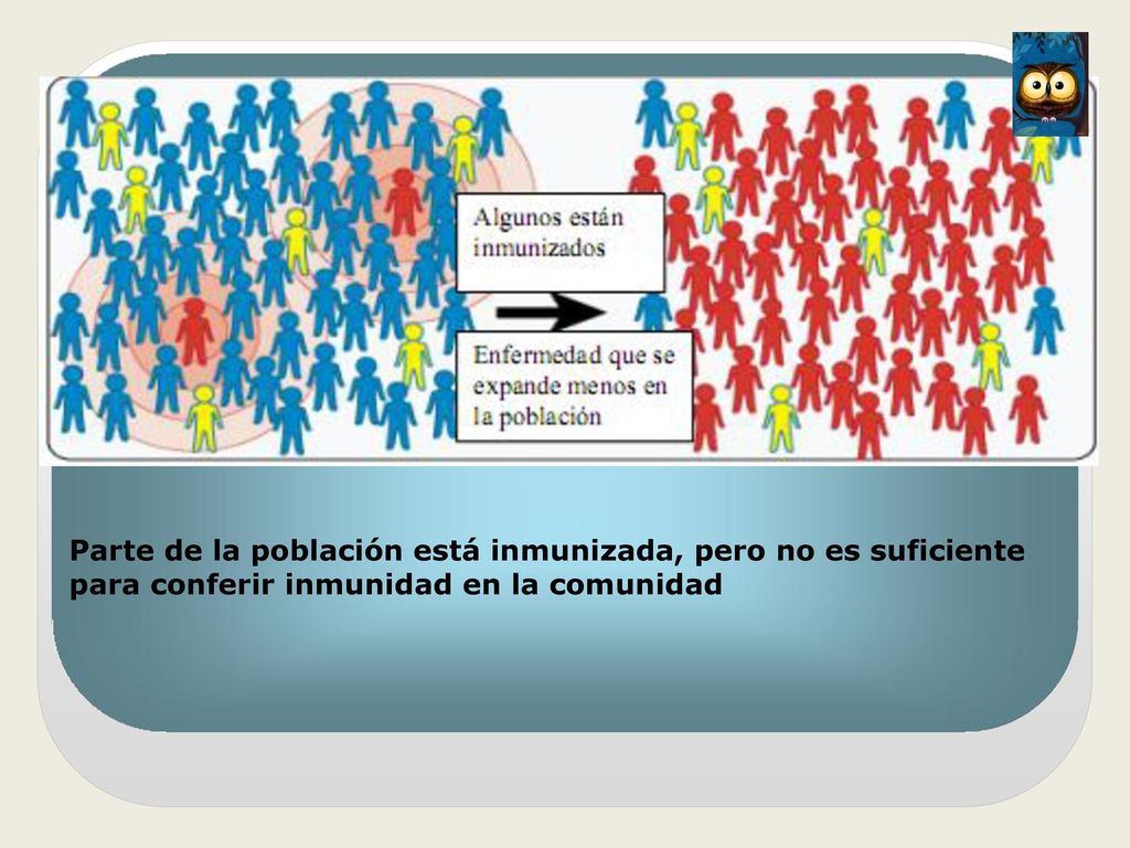 Parte de la población está inmunizada, pero no es suficiente para conferir inmunidad en la comunidad