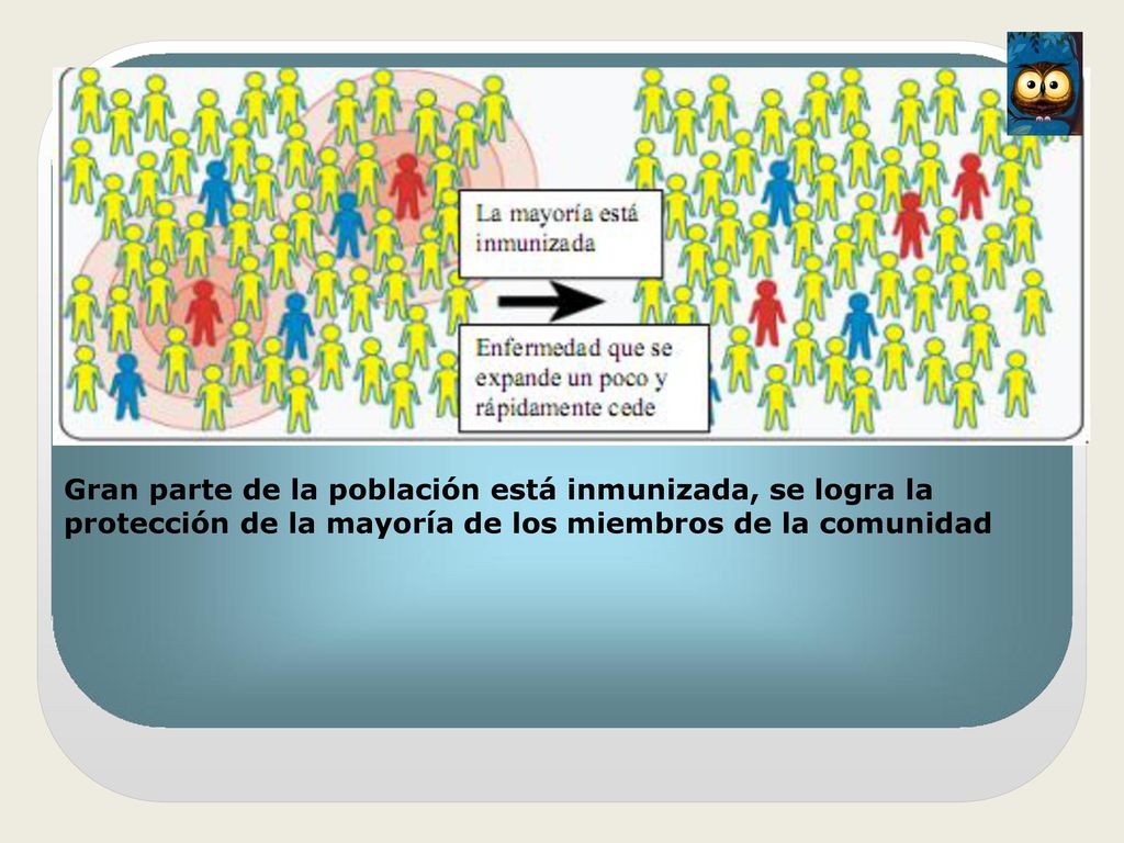 una parte importante de la población está inmunizada, la protección de la mayoría de los miembros de