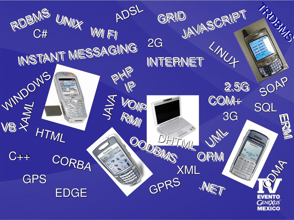 ADSL GRID RDBMS UNIX TRDBMS JAVASCRIPT C# WI FI 2G INSTANT MESSAGING