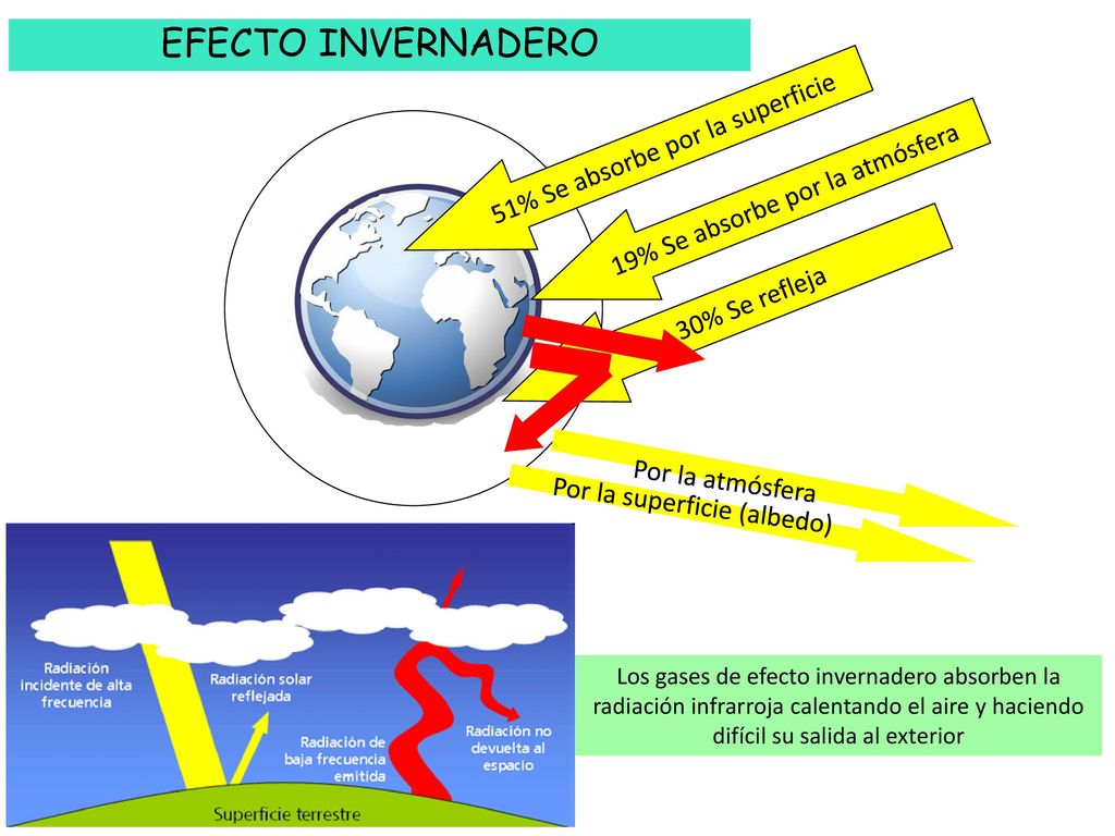 EFECTO INVERNADERO 51% Se absorbe por la superficie
