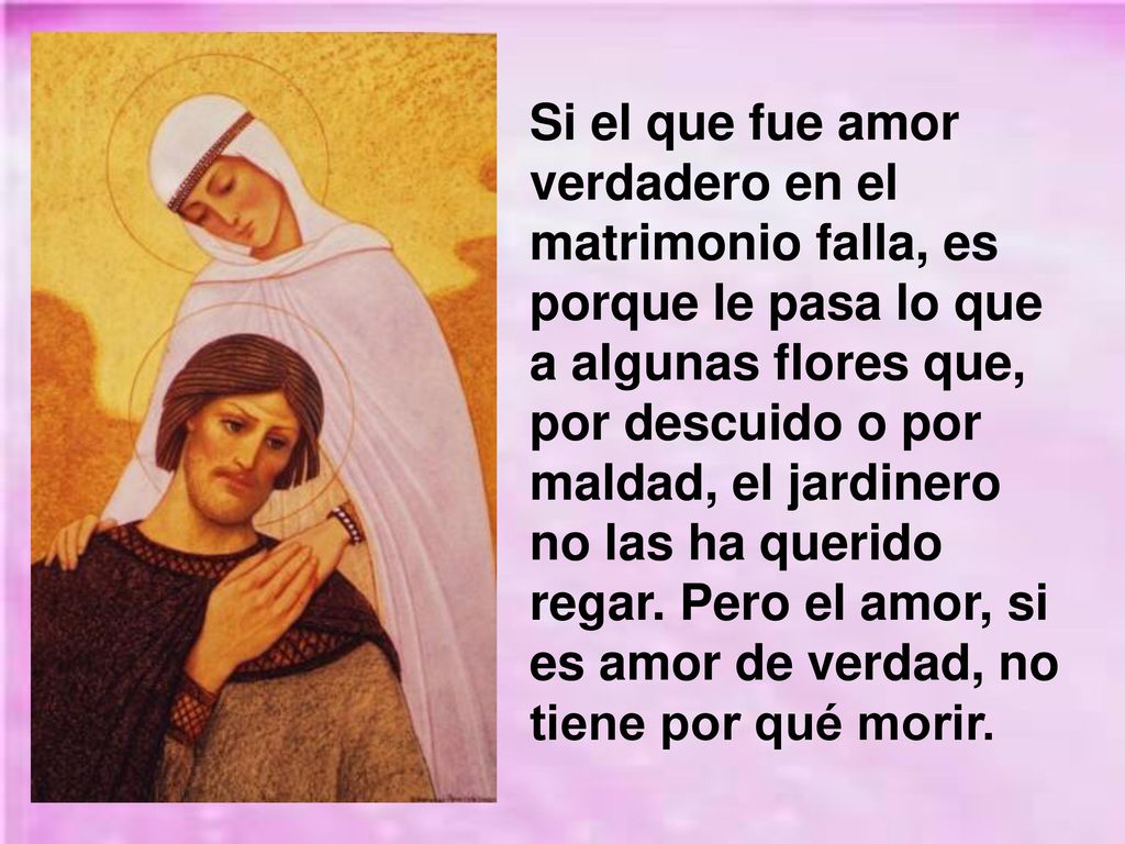 Si el que fue amor verdadero en el matrimonio falla, es porque le pasa lo que a algunas flores que, por descuido o por maldad, el jardinero no las ha querido regar.