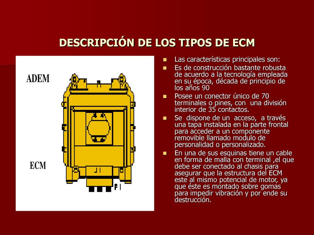 DESCRIPCIÓN DE LOS TIPOS DE ECM