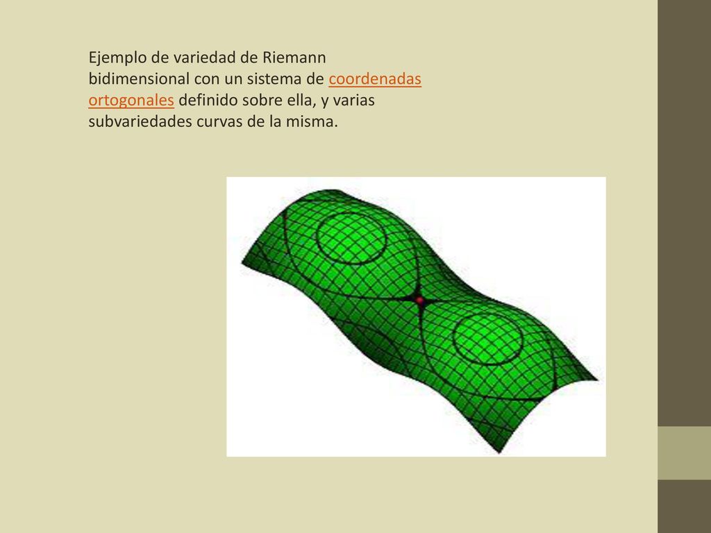 Ejemplo de variedad de Riemann bidimensional con un sistema de coordenadas ortogonales definido sobre ella, y varias subvariedades curvas de la misma.