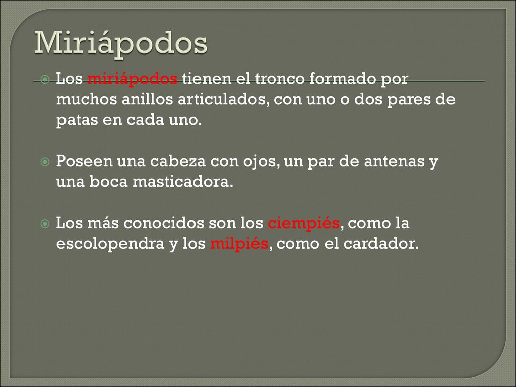 Miriápodos Los miriápodos tienen el tronco formado por muchos anillos articulados, con uno o dos pares de patas en cada uno.