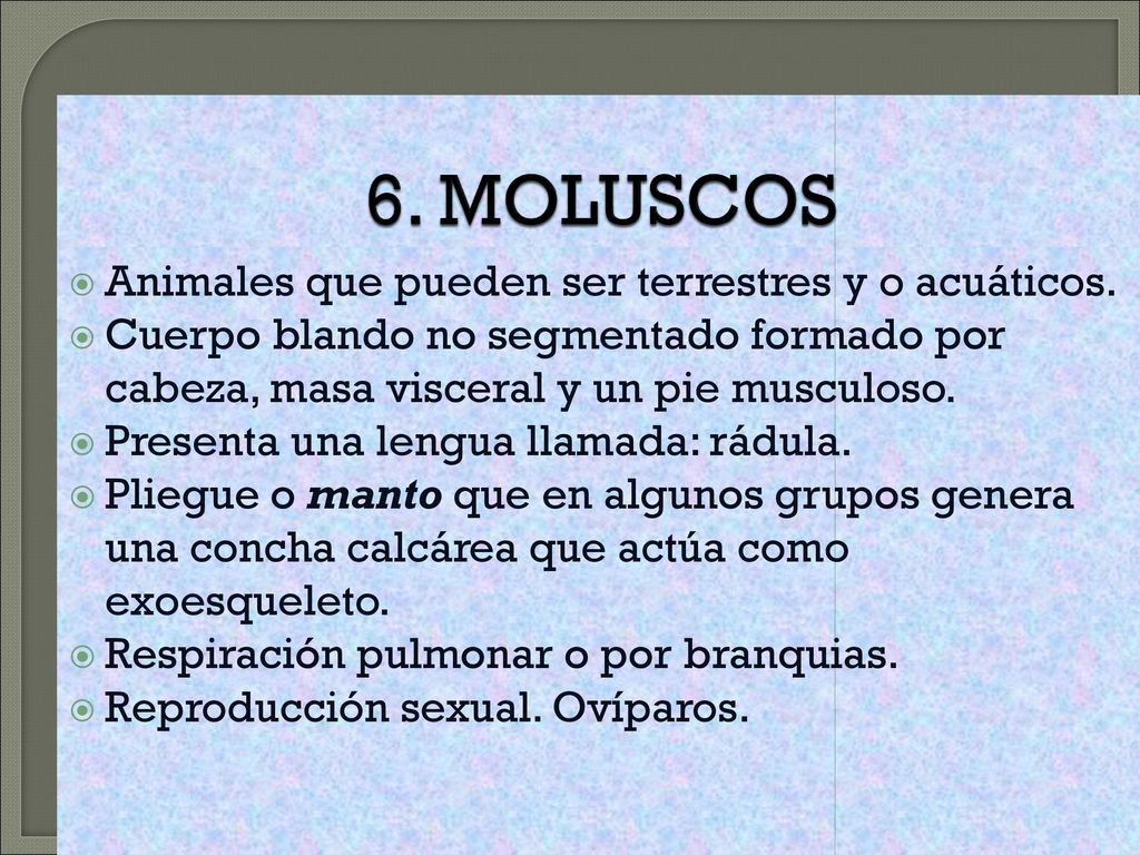 6. MOLUSCOS Animales que pueden ser terrestres y o acuáticos.