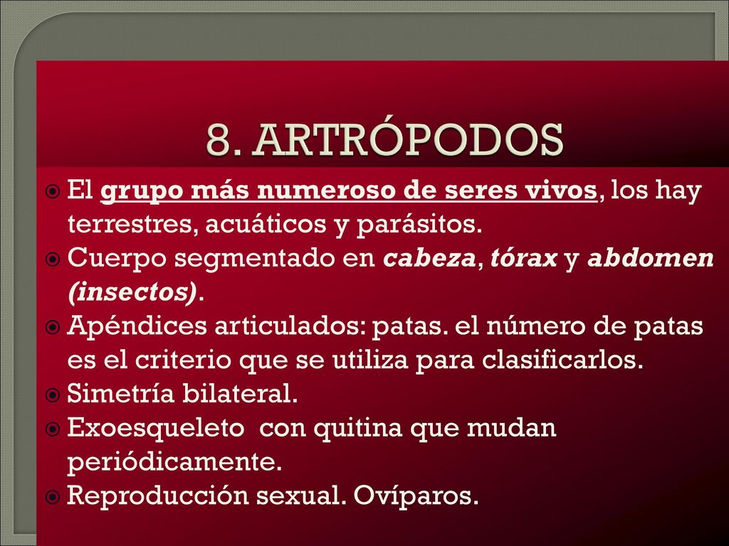 8. ARTRÓPODOS El grupo más numeroso de seres vivos, los hay terrestres, acuáticos y parásitos.