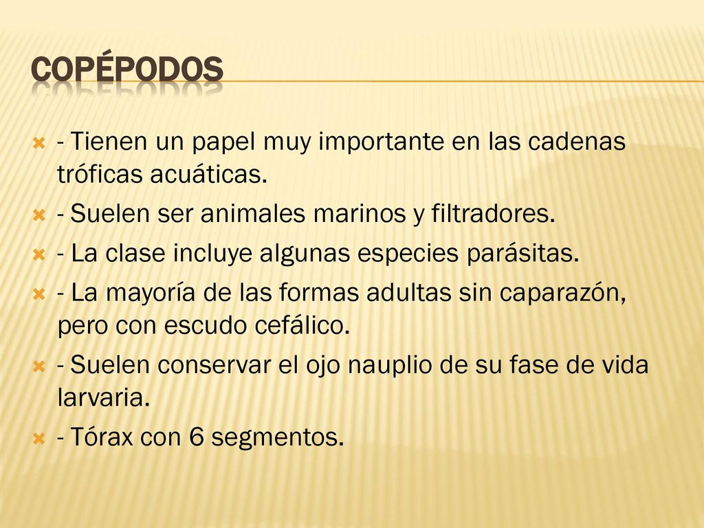 Copépodos - Tienen un papel muy importante en las cadenas tróficas acuáticas. - Suelen ser animales marinos y filtradores.