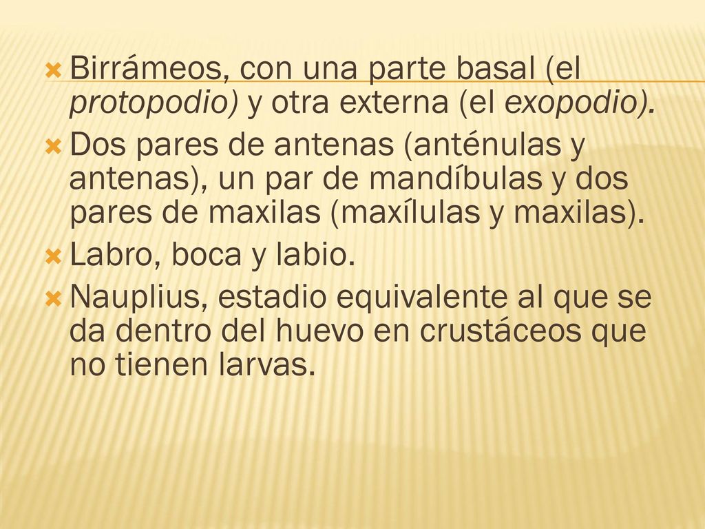 Birrámeos, con una parte basal (el protopodio) y otra externa (el exopodio).