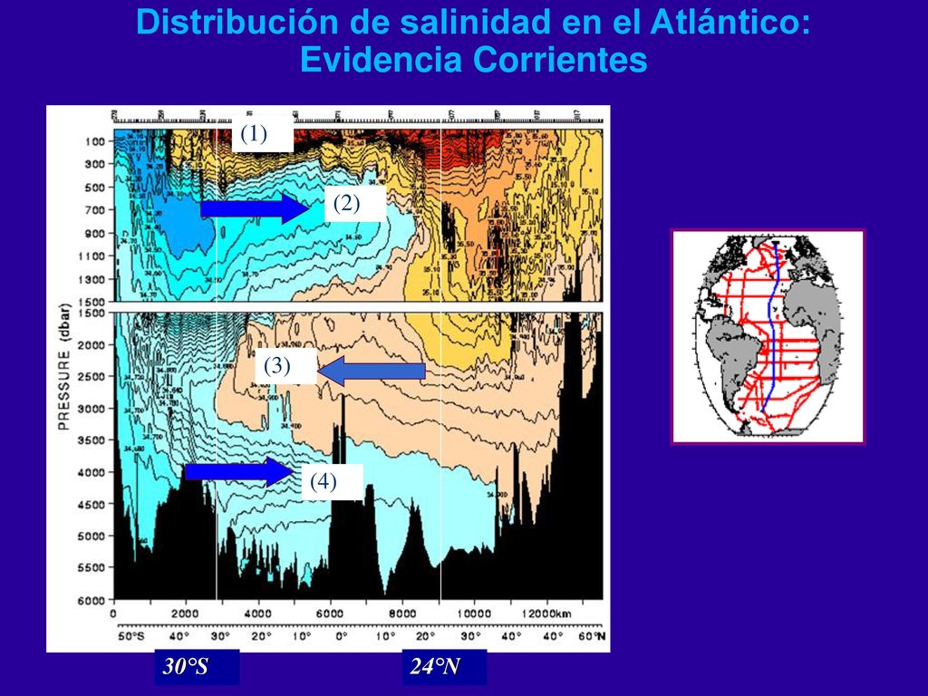 Distribución de salinidad en el Atlántico: Evidencia Corrientes