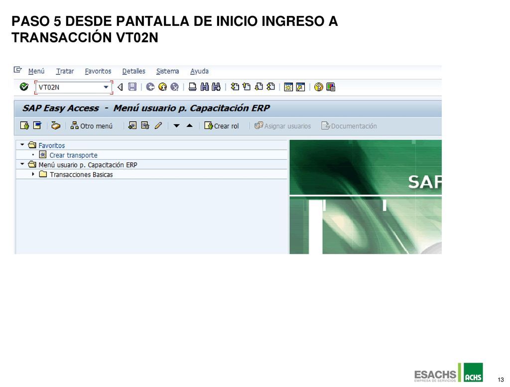 Paso 5 Desde Pantalla de inicio ingreso a Transacción Vt02n