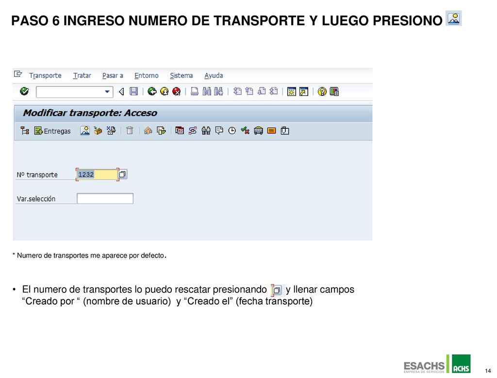 Paso 6 ingreso numero de transporte y luego presiono