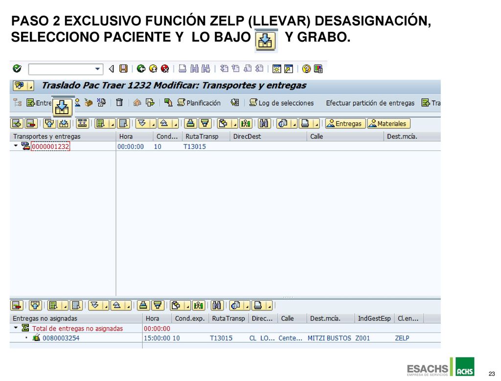 PASo 2 Exclusivo función ZELP (LLEVAR) desasignación, Selecciono paciente y lo bajo y grabo.