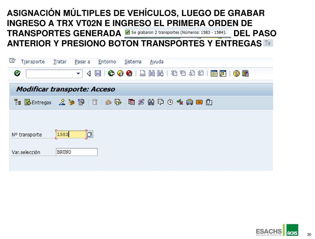 Asignación múltiples de vehículos, Luego de grabar ingreso a trX vt02n e ingreso el primera orden de transportes generada del paso anterior y presiono boton transportes y entregas
