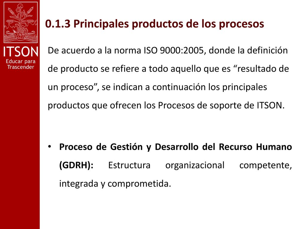 0.1.3 Principales productos de los procesos
