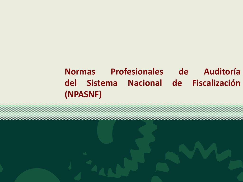 Normas Profesionales de Auditoría del Sistema Nacional de Fiscalización (NPASNF)