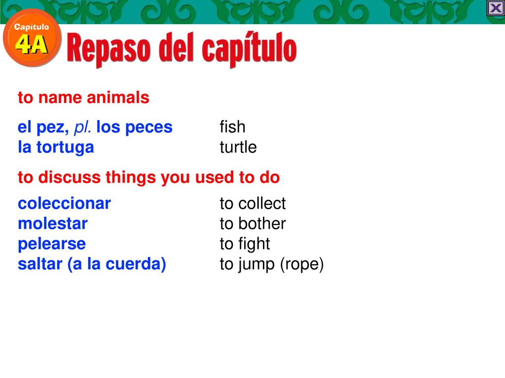 to name animals el pez, pl. los peces. la tortuga. fish. turtle. to discuss things you used to do.