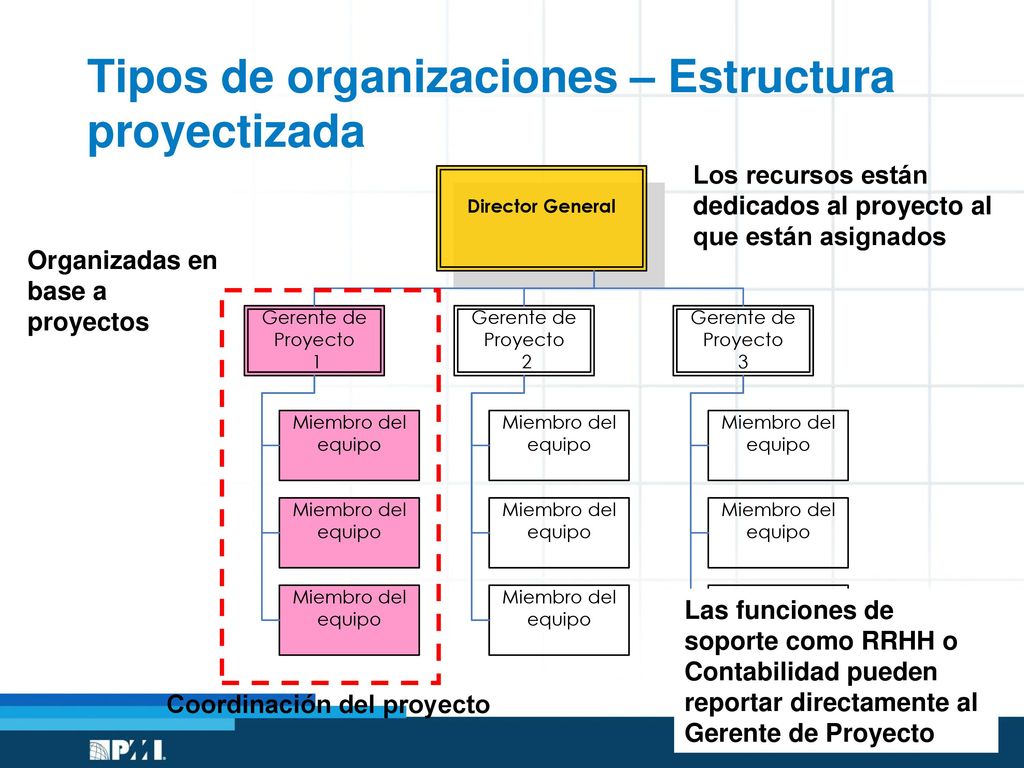 Tipos de organizaciones – Estructura proyectizada
