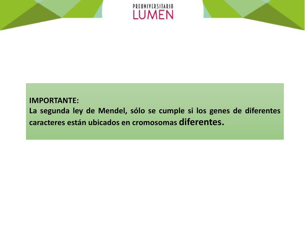 IMPORTANTE: La segunda ley de Mendel, sólo se cumple si los genes de diferentes caracteres están ubicados en cromosomas diferentes.