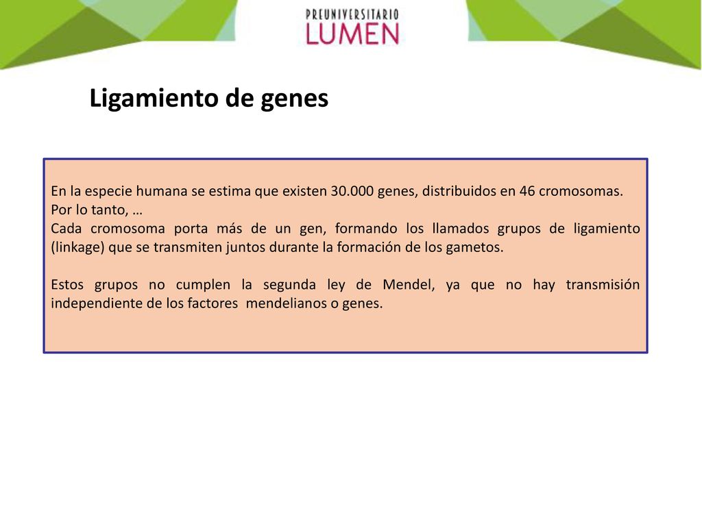 Ligamiento de genes En la especie humana se estima que existen genes, distribuidos en 46 cromosomas.