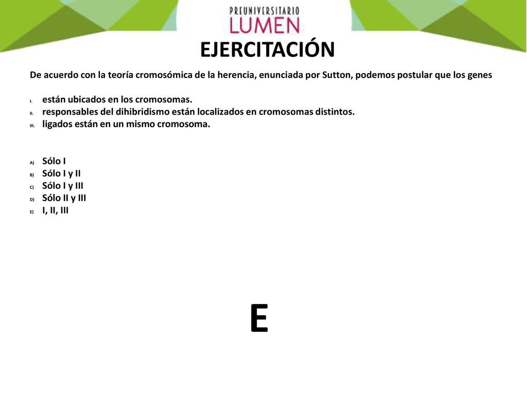 EJERCITACIÓN De acuerdo con la teoría cromosómica de la herencia, enunciada por Sutton, podemos postular que los genes.