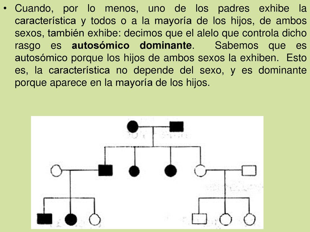 Cuando, por lo menos, uno de los padres exhibe la característica y todos o a la mayoría de los hijos, de ambos sexos, también exhibe: decimos que el alelo que controla dicho rasgo es autosómico dominante.