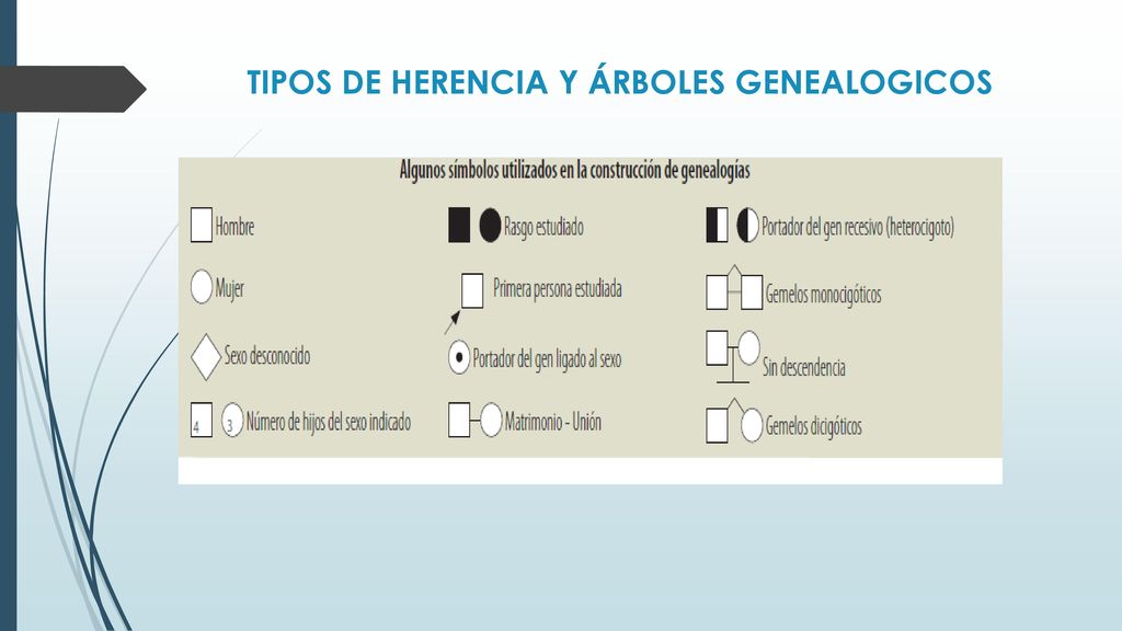 TIPOS DE HERENCIA Y ÁRBOLES GENEALOGICOS