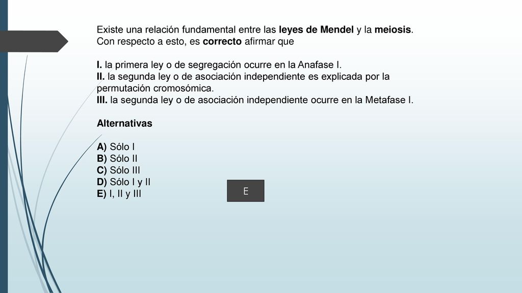 Existe una relación fundamental entre las leyes de Mendel y la meiosis