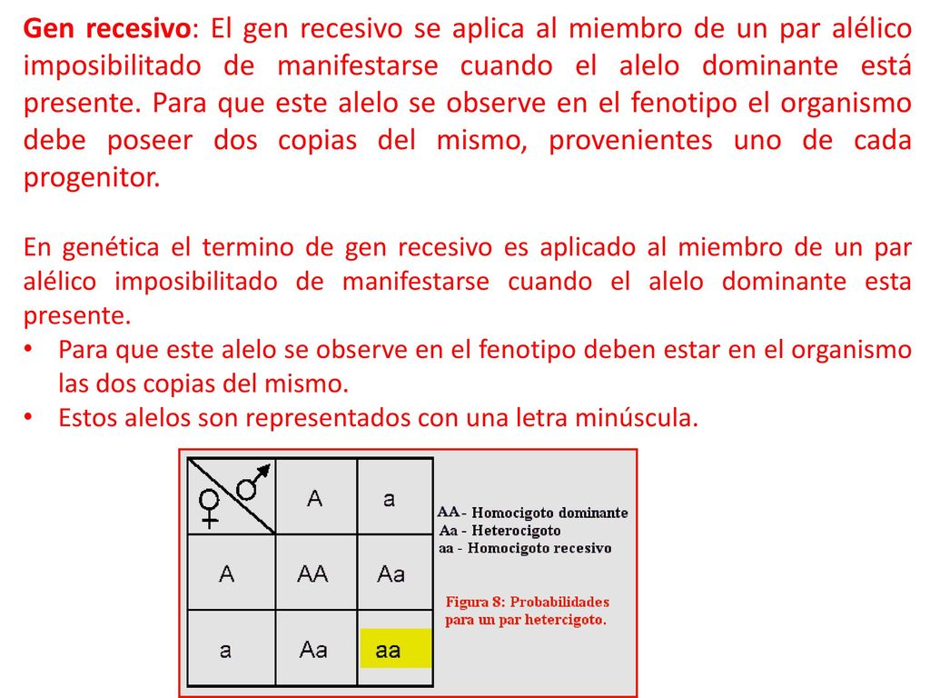 Gen recesivo: El gen recesivo se aplica al miembro de un par alélico imposibilitado de manifestarse cuando el alelo dominante está presente. Para que este alelo se observe en el fenotipo el organismo debe poseer dos copias del mismo, provenientes uno de cada progenitor.