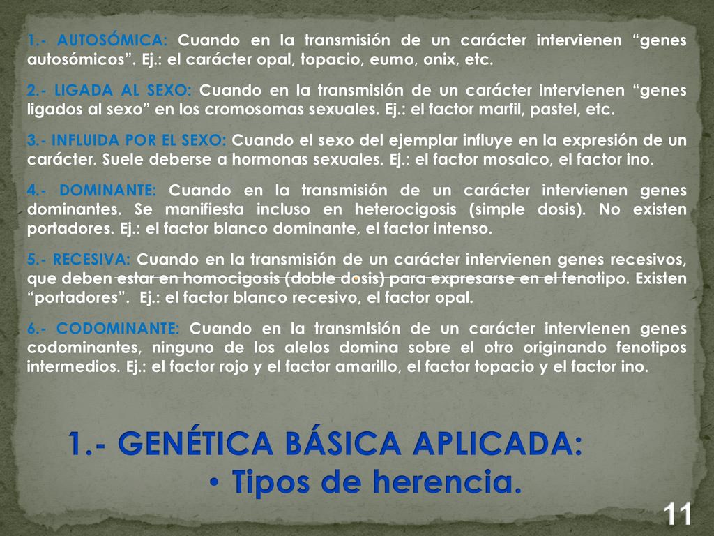 1.- GENÉTICA BÁSICA APLICADA: Tipos de herencia.