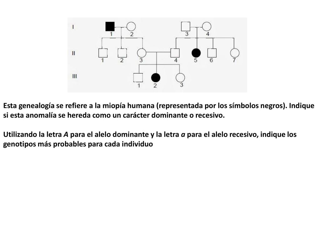 Esta genealogía se refiere a la miopía humana (representada por los símbolos negros). Indique si esta anomalía se hereda como un carácter dominante o recesivo.