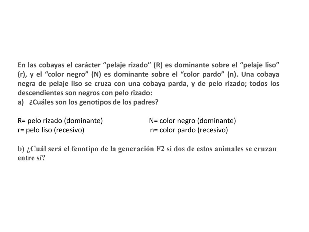 En las cobayas el carácter pelaje rizado (R) es dominante sobre el pelaje liso (r), y el color negro (N) es dominante sobre el color pardo (n). Una cobaya negra de pelaje liso se cruza con una cobaya parda, y de pelo rizado; todos los descendientes son negros con pelo rizado: