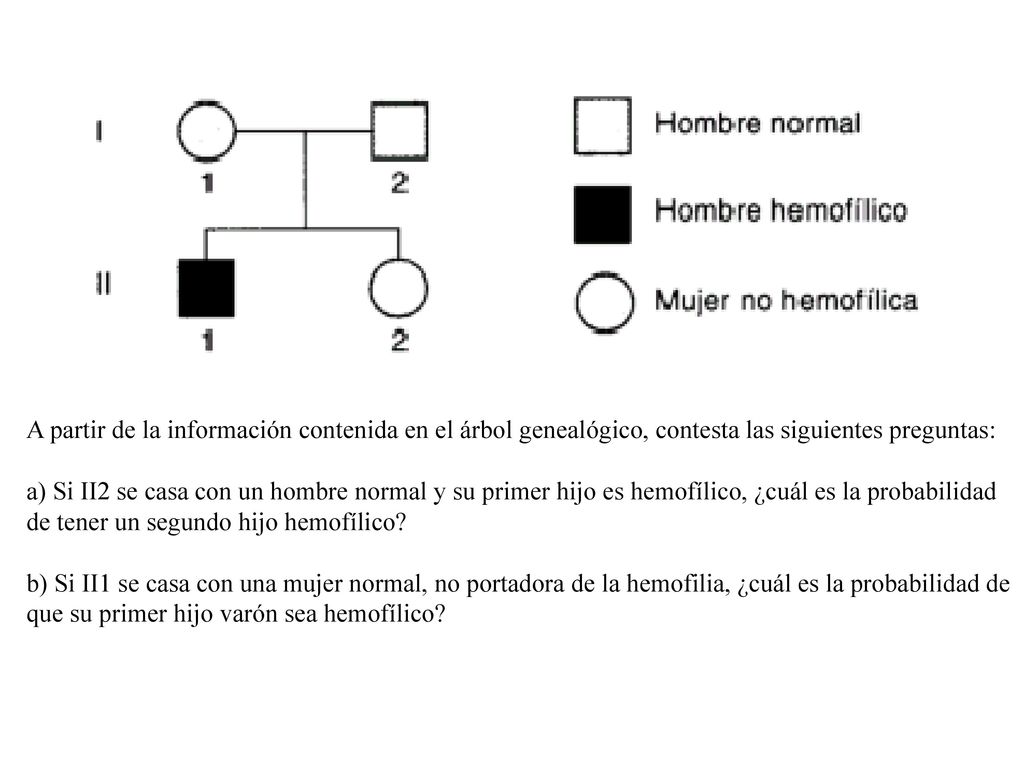 A partir de la información contenida en el árbol genealógico, contesta las siguientes preguntas: