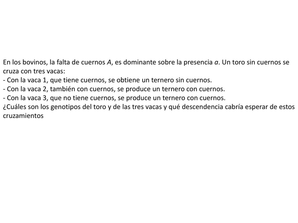 En los bovinos, la falta de cuernos A, es dominante sobre la presencia a.