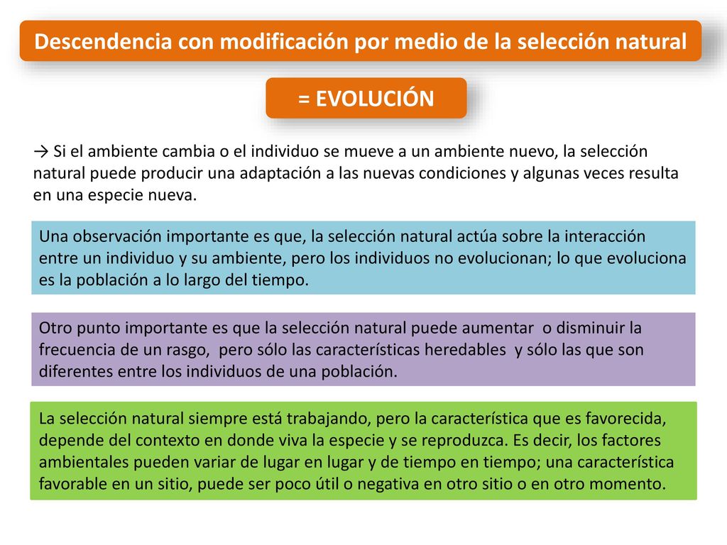 Descendencia con modificación por medio de la selección natural