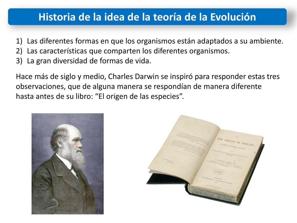 Historia de la idea de la teoría de la Evolución