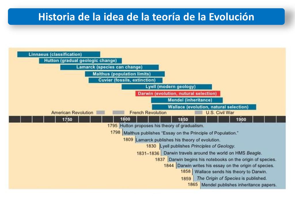 Historia de la idea de la teoría de la Evolución