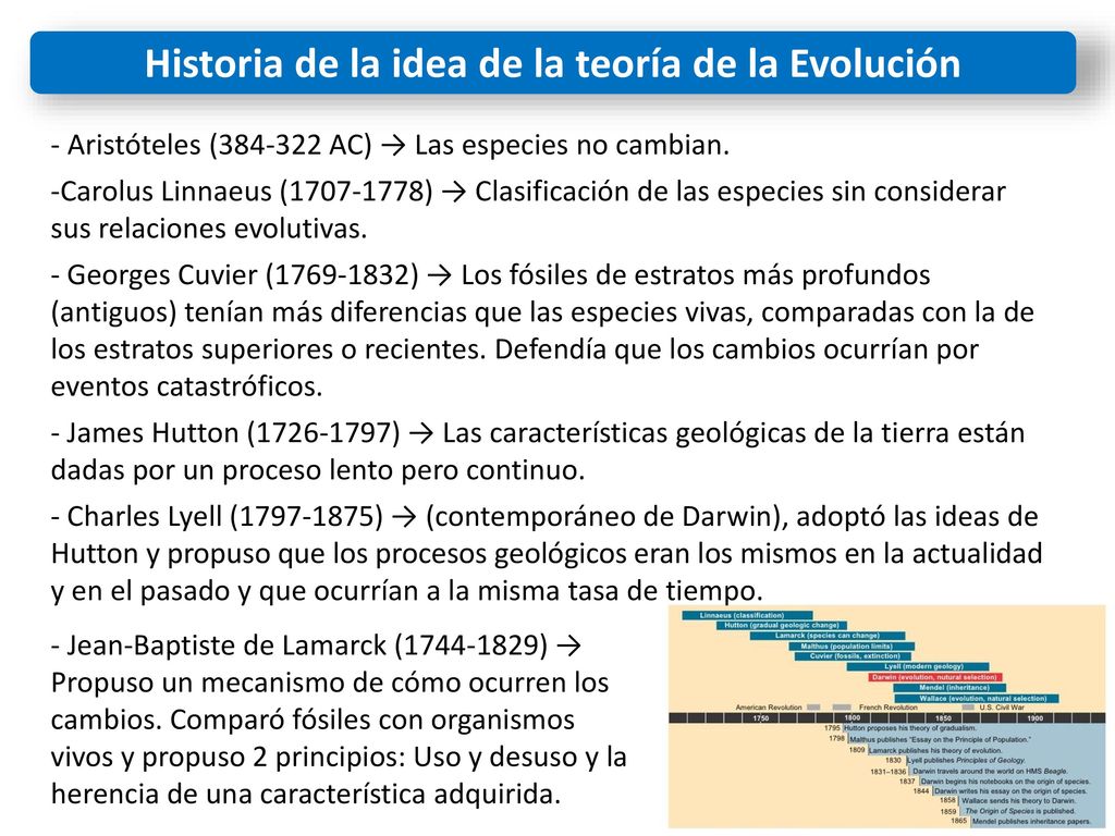 Historia de la idea de la teoría de la Evolución