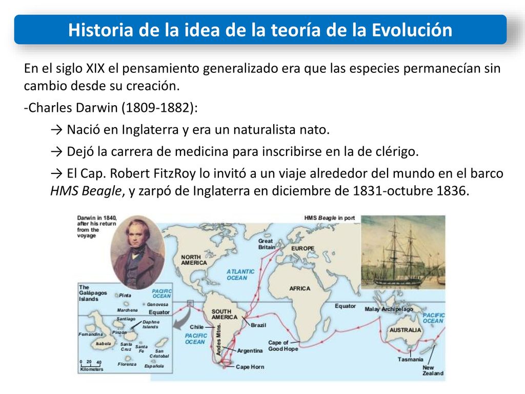 Historia de la idea de la teoría de la Evolución