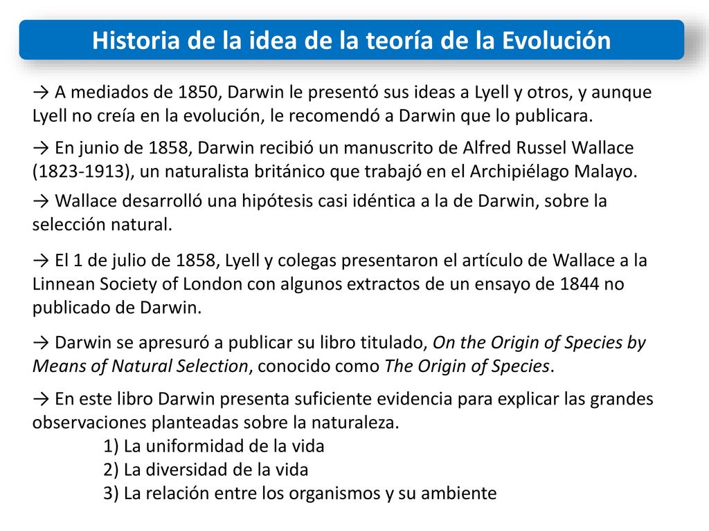 Historia de la idea de la teoría de la Evolución