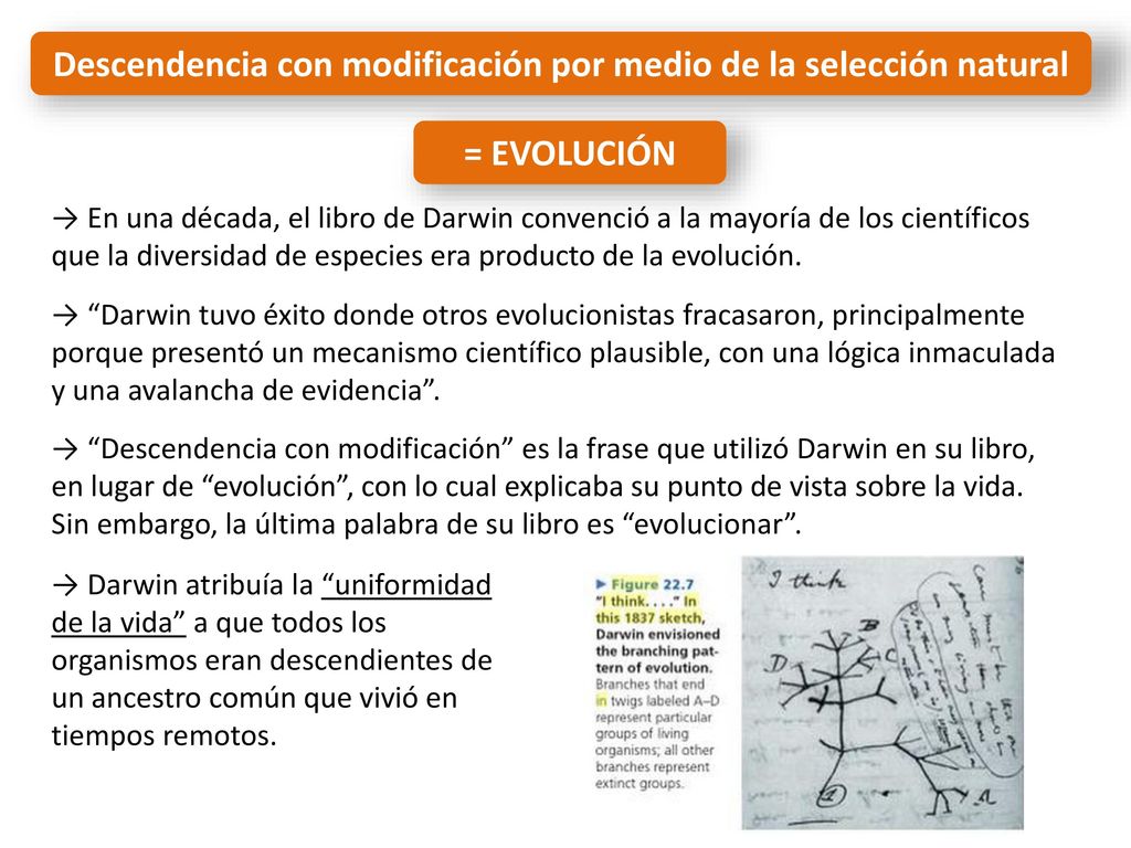 Descendencia con modificación por medio de la selección natural