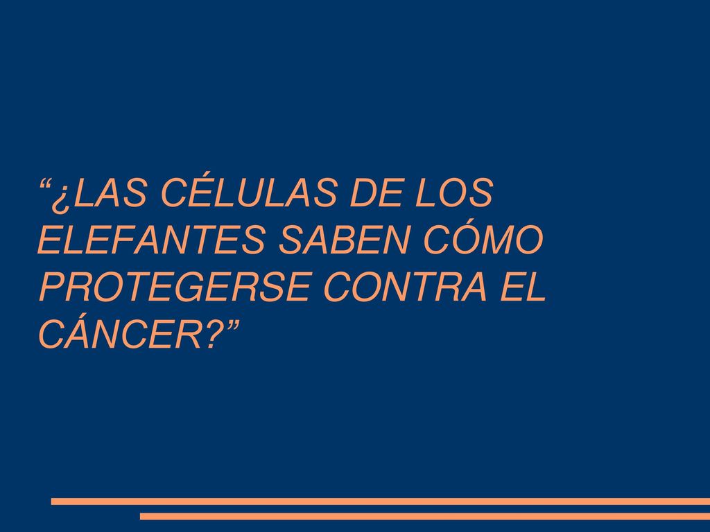 ¿LAS CÉLULAS DE LOS ELEFANTES SABEN CÓMO PROTEGERSE CONTRA EL CÁNCER
