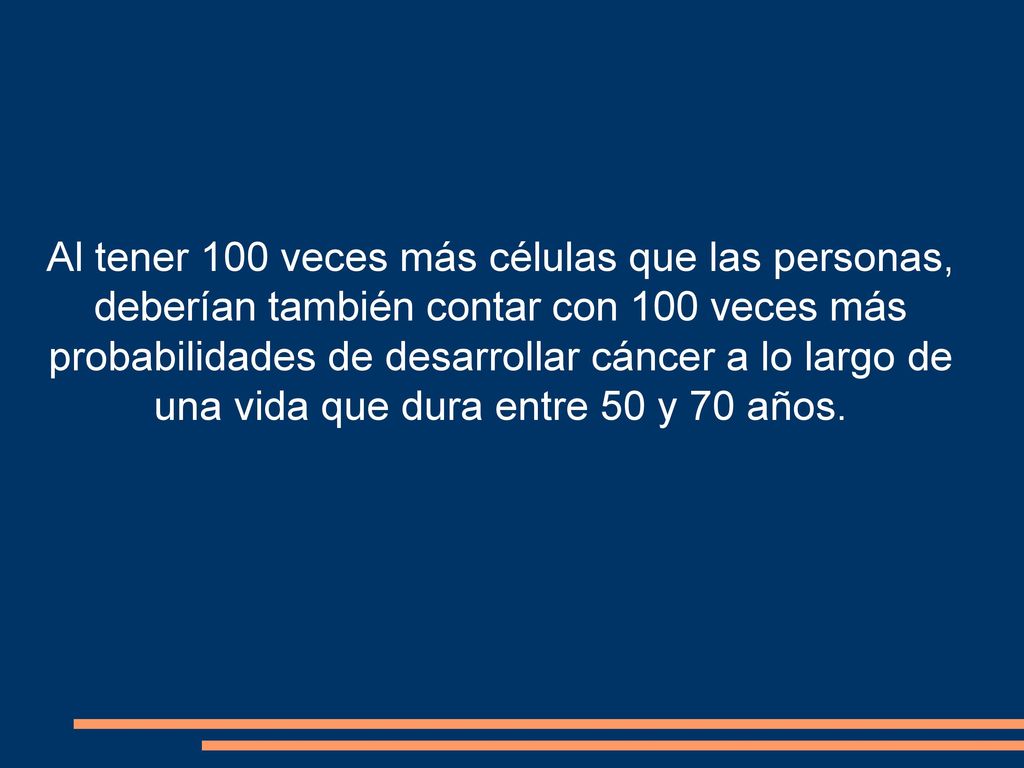 Al tener 100 veces más células que las personas, deberían también contar con 100 veces más probabilidades de desarrollar cáncer a lo largo de una vida que dura entre 50 y 70 años.