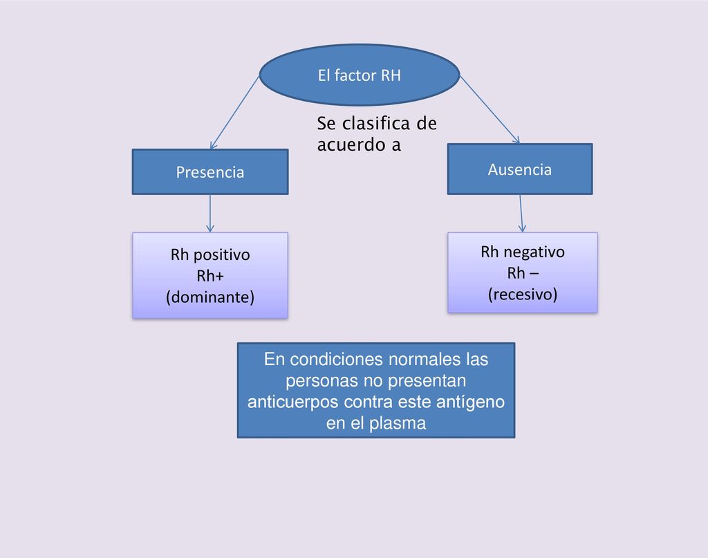El factor RH Se clasifica de acuerdo a. Ausencia. Presencia. Rh positivo. Rh+ (dominante) Rh negativo.