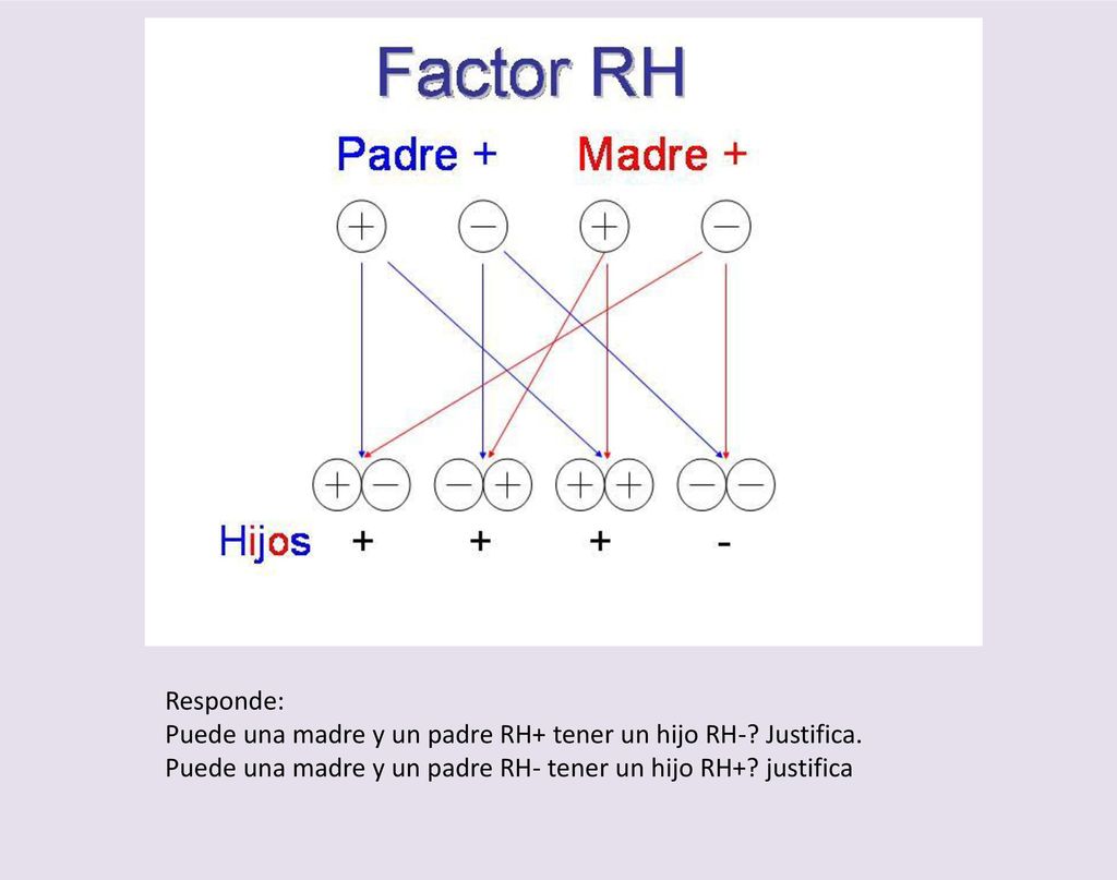 Responde: Puede una madre y un padre RH+ tener un hijo RH-.