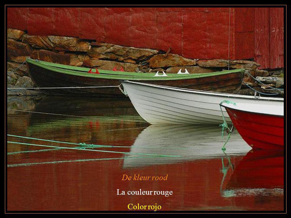 De kleur rood La couleur rouge Color rojo