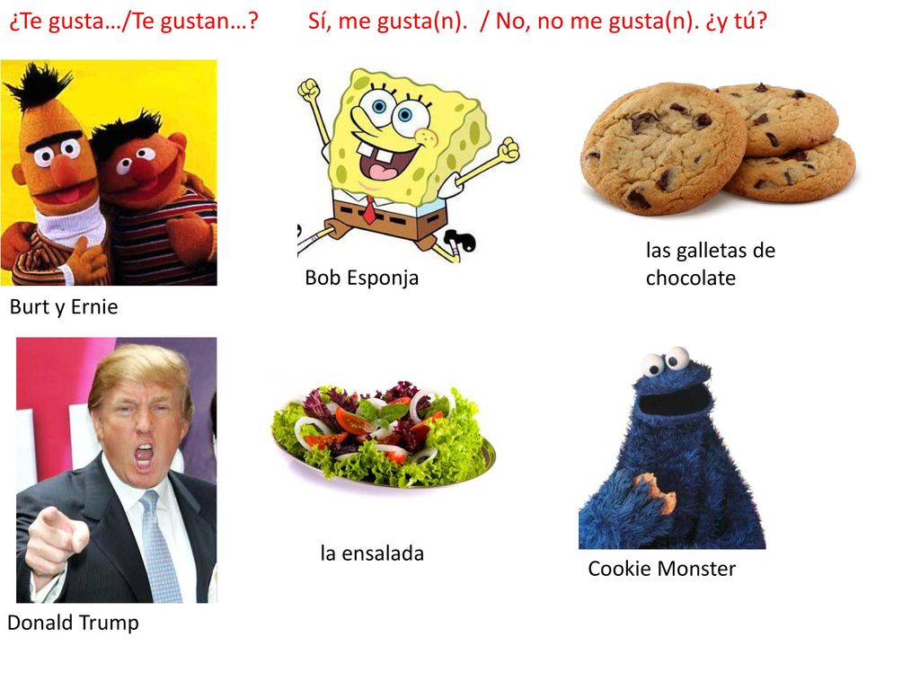 Sí, me gusta(n). / No, no me gusta(n). ¿y tú