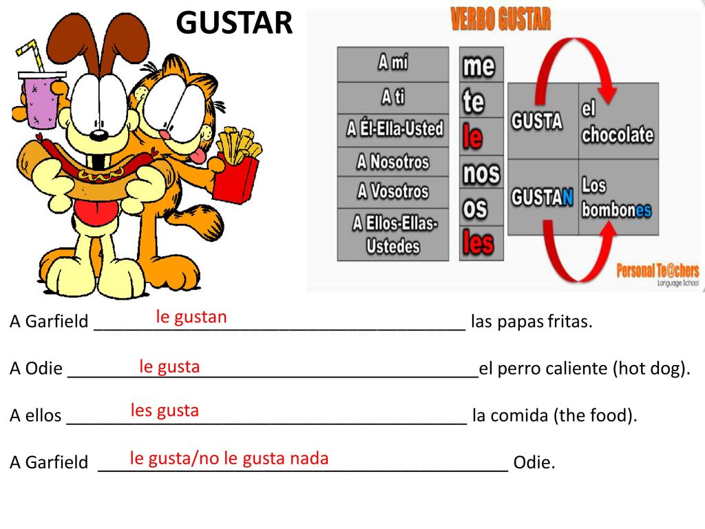 GUSTAR le gustan. A Garfield ______________________________________ las papas fritas.