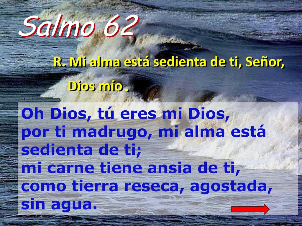 Salmo 62 R. Mi alma está sedienta de ti, Señor, Dios mío.