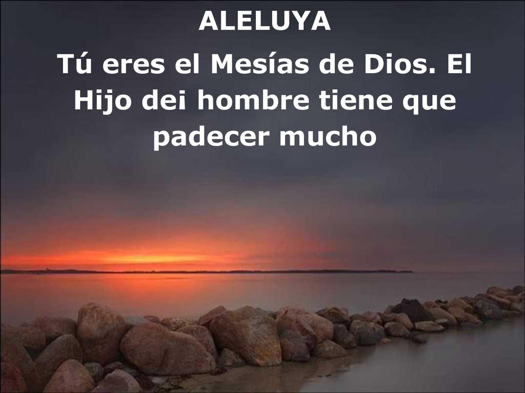 Tú eres el Mesías de Dios. El Hijo de¡ hombre tiene que padecer mucho