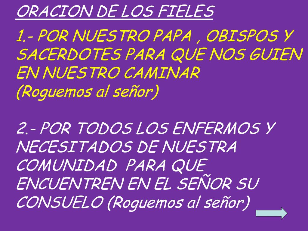 ORACION DE LOS FIELES 1.- POR NUESTRO PAPA , OBISPOS Y SACERDOTES PARA QUE NOS GUIEN EN NUESTRO CAMINAR.